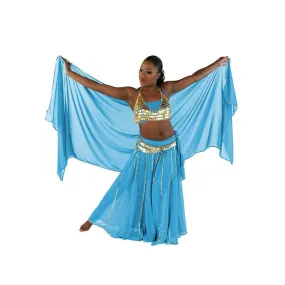 Belly Dance Skirt, Bra, Veil & Hip Scarf Costume Set | STARGAZER