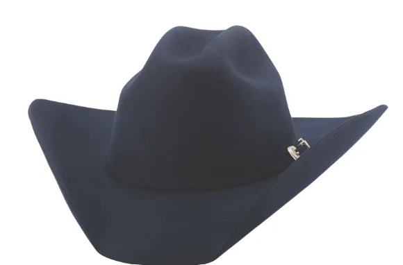 Bullhide Kingman Felt Hat in Style 0550