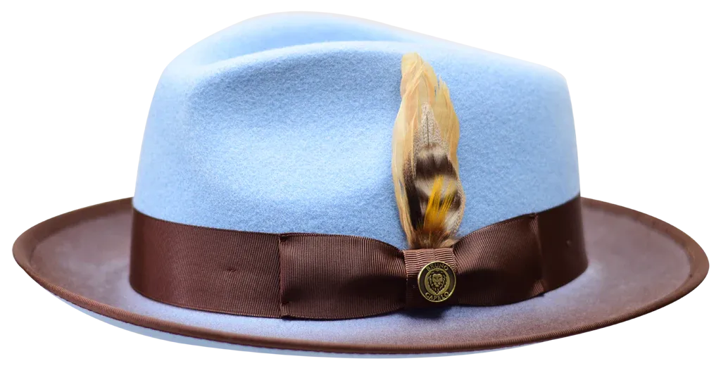 Sky Blue-Brown Men's Wool Hat Fashion Design Felt Fedora New Yorker Collection